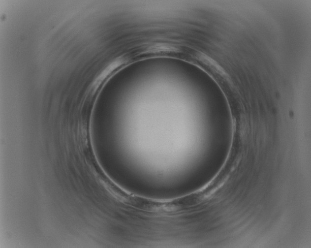 X0000074291321200609081842