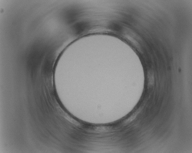 X0000074291322200609081842