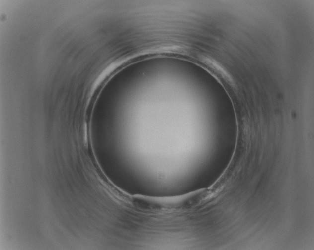 X0000074291324200609081842