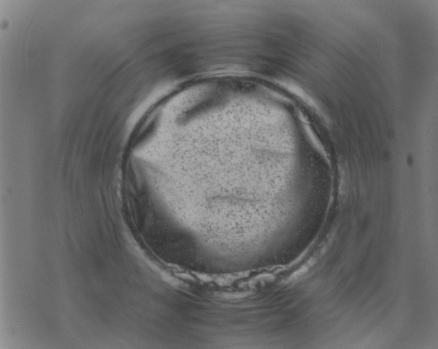 X0000074291325200609081842