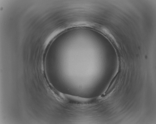 X0000074291328200609081842