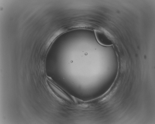 X0000074291329200609081842