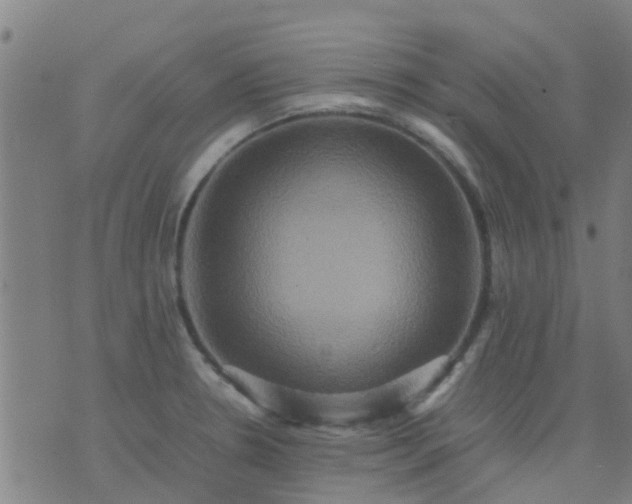 X0000074291330200609081842