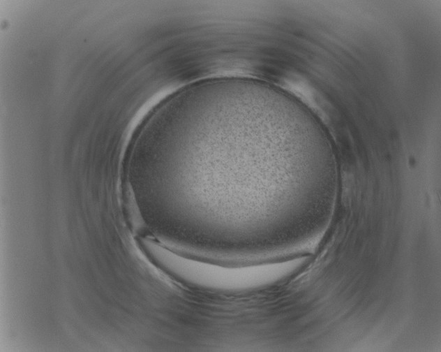 X0000074291331200609081842