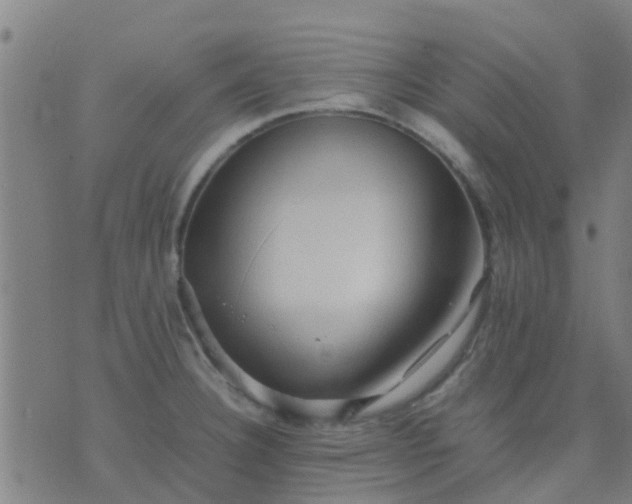 X0000074291332200609081842