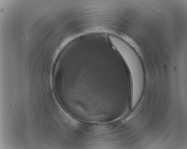 X0000074291334200609081842