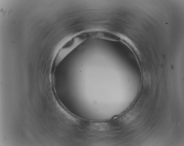 X0000074291335200609081842