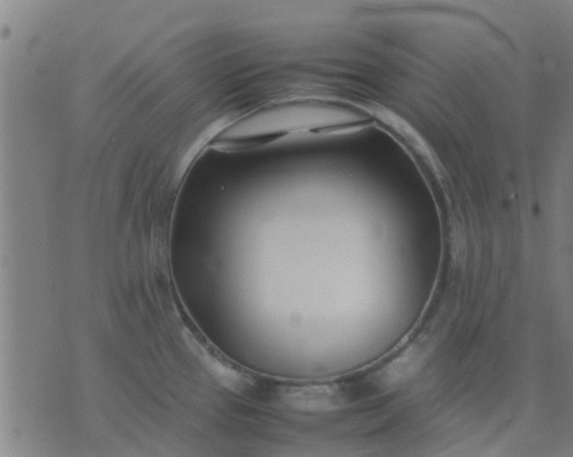 X0000074291337200609081842