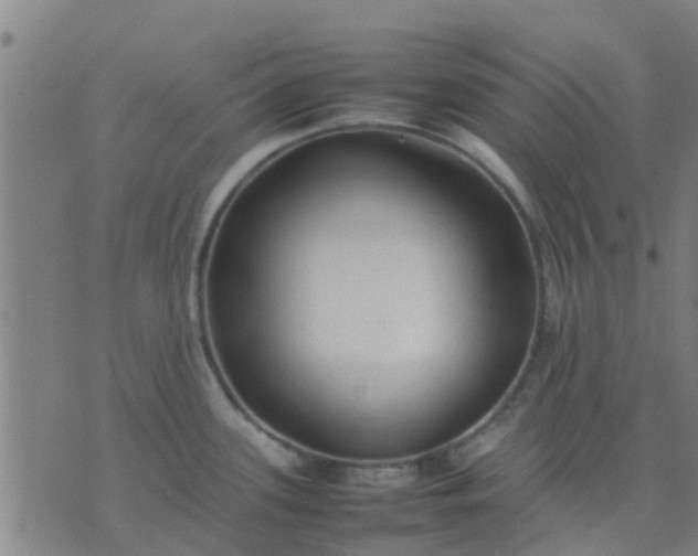 X0000074291339200609081842