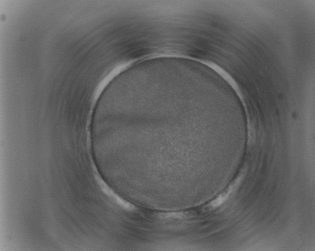 X0000074291341200609081842