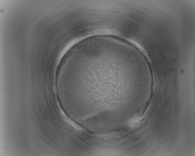 X0000074291342200609081842