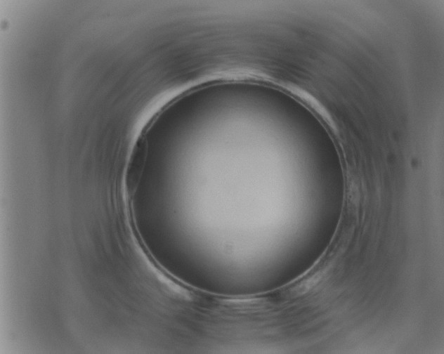 X0000074291343200609081842