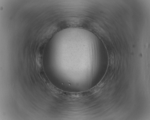 X0000074291346200609081842