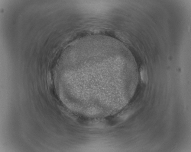 X0000074291347200609081842