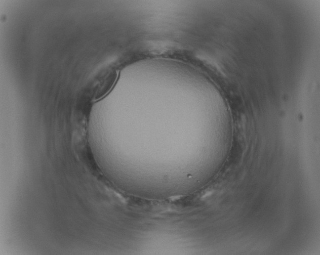 X0000074291349200609081842