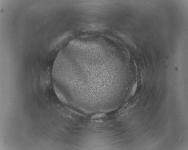 X0000074291350200609081842