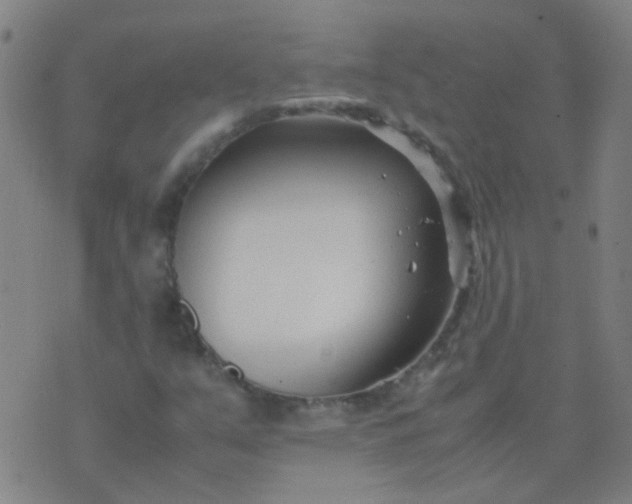 X0000074291351200609081841