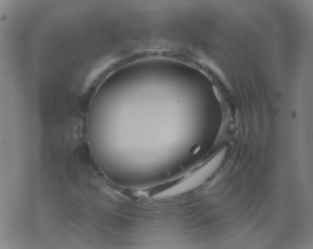 X0000074291352200609081841