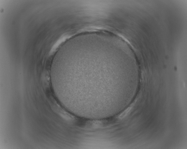 X0000074291355200609081841