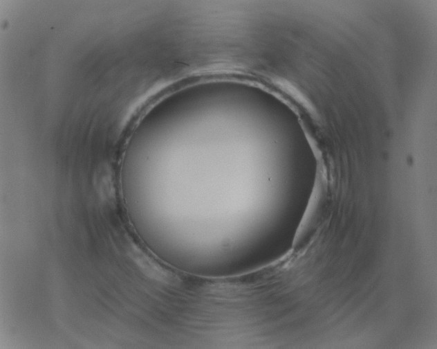 X0000074291356200609081841