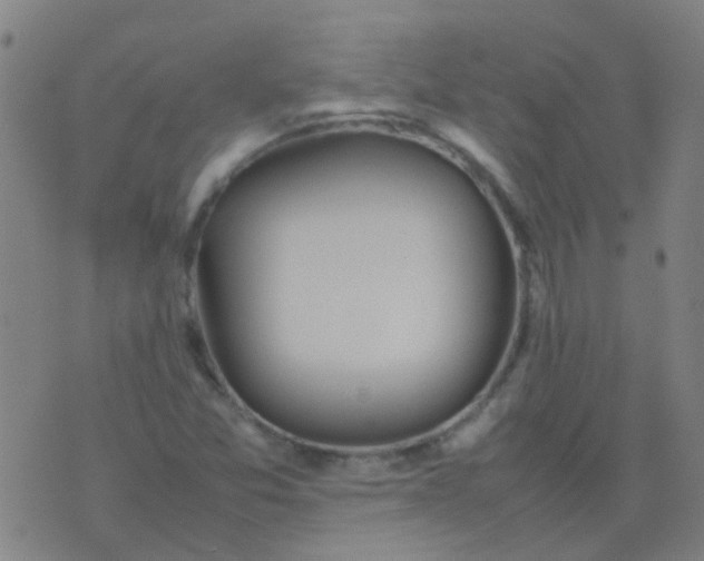 X0000074291357200609081841