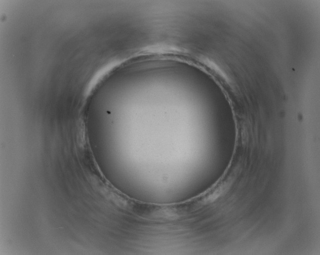 X0000074291358200609081841