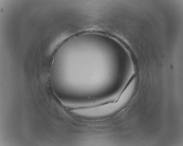 X0000074291359200609081841