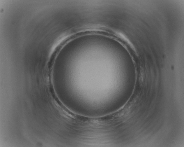 X0000074291360200609081841