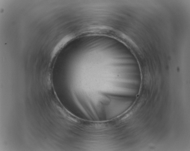 X0000074291362200609081841