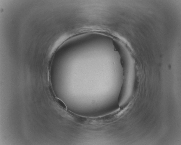 X0000074291365200609081841