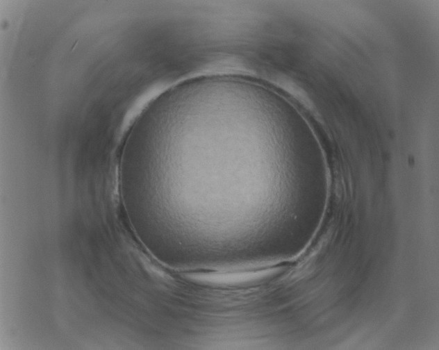 X0000074291366200609081841