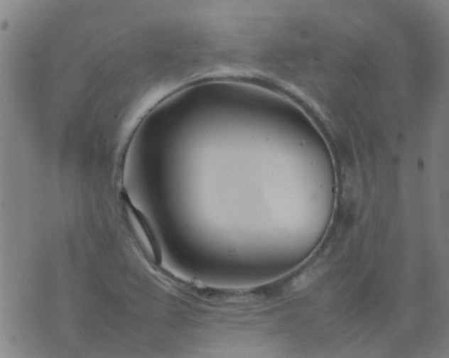 X0000074291367200609081841