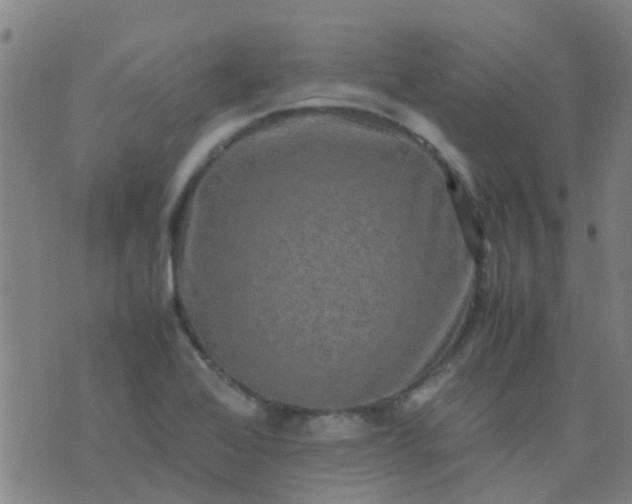 X0000074291368200609081841