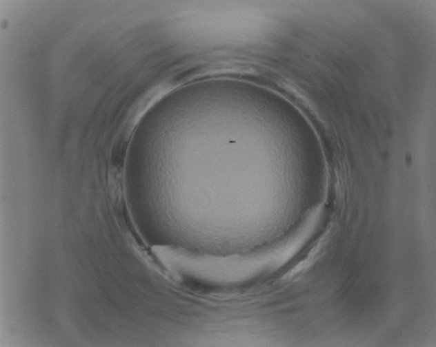 X0000074291369200609081841