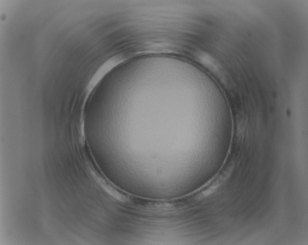 X0000074291370200609081841