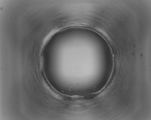 X0000074291371200609081841