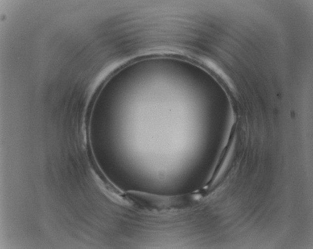 X0000074291372200609081841