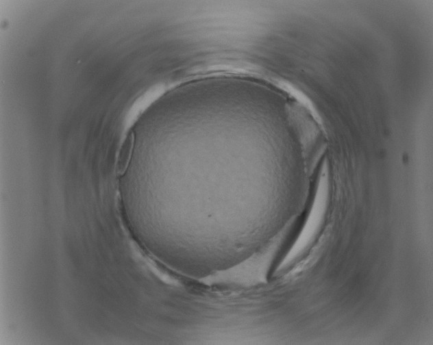 X0000074291373200609081841