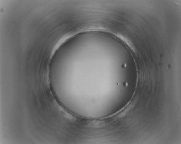 X0000074291374200609081841