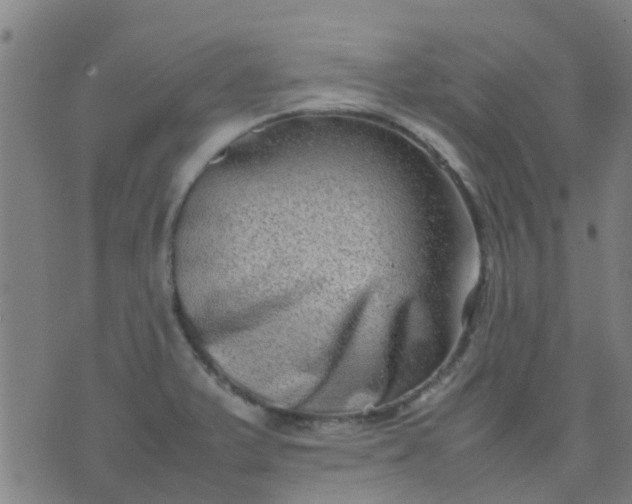 X0000074291375200609081841