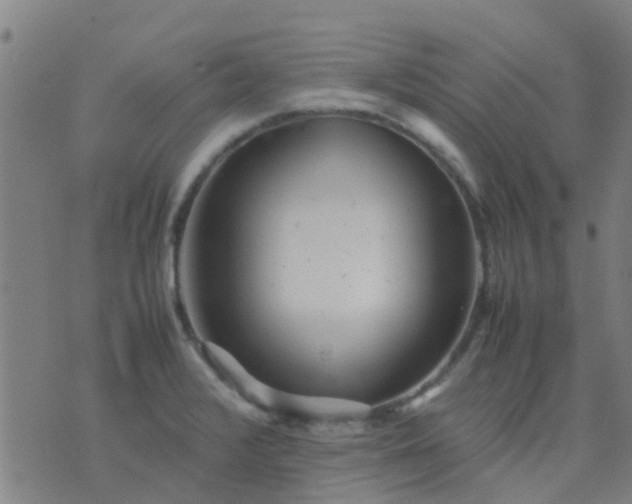 X0000074291376200609081841