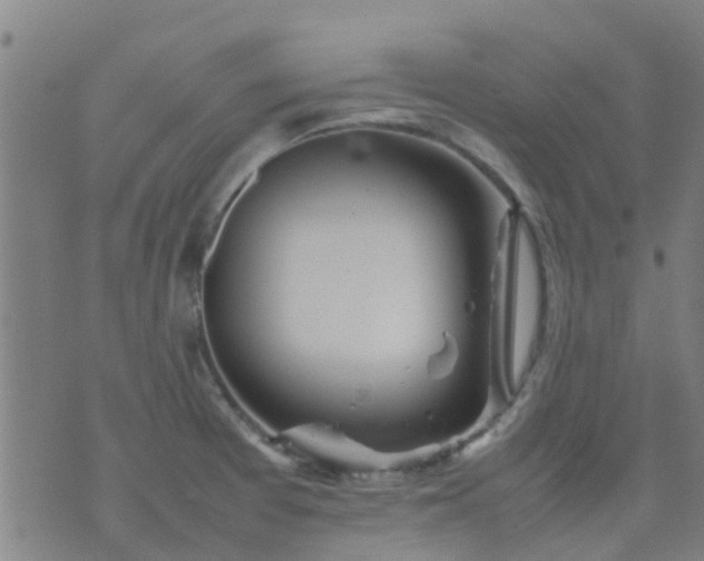 X0000074291377200609081841