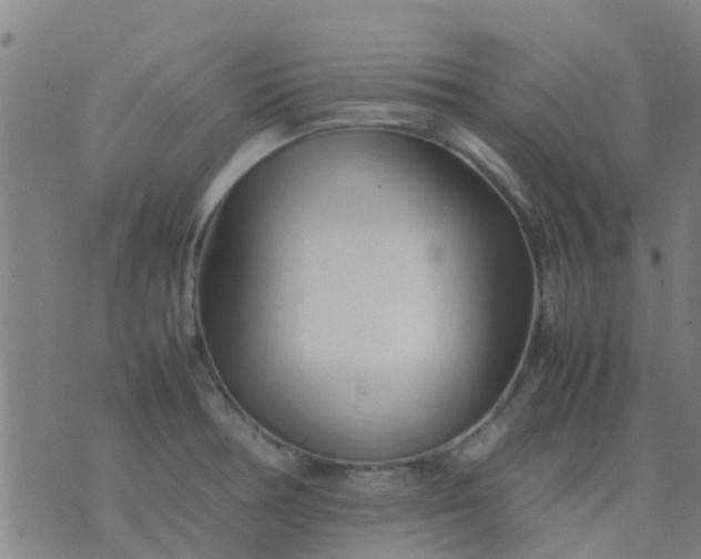 X0000074291378200609081841