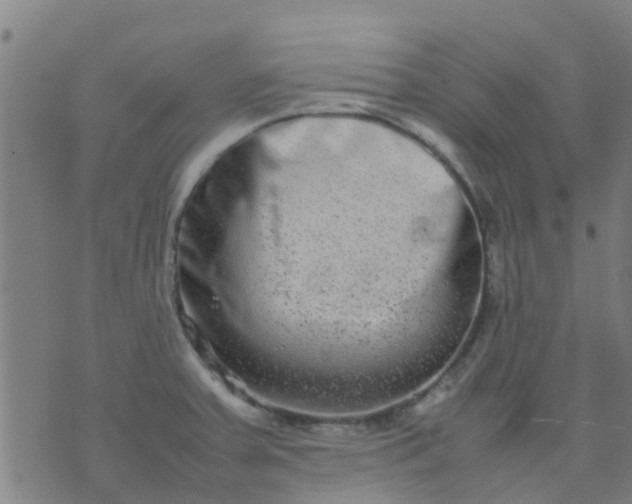 X0000074291379200609081841