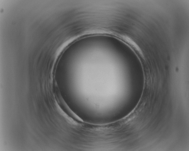 X0000074291380200609081841