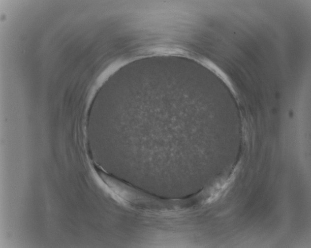 X0000074291381200609081841