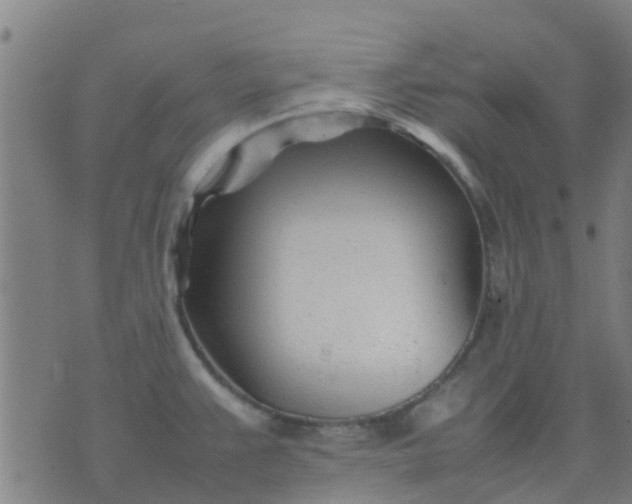 X0000074291383200609081841