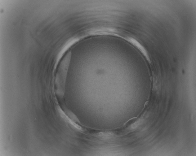 X0000074291384200609081841