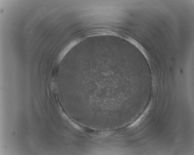 X0000074291385200609081841