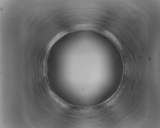 X0000074291386200609081841